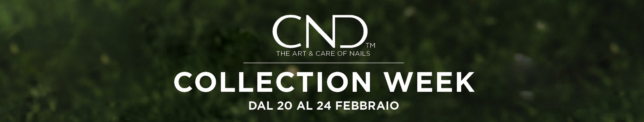 IMMAGINE 1 IMMAGINE 1